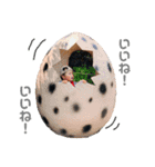 nia's stamp2（個別スタンプ：16）
