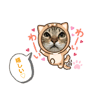 Ashura(アシュラ)♂5（個別スタンプ：3）