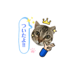 Ashura(アシュラ)♂5（個別スタンプ：6）