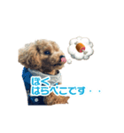 龍くんのにちじょう（個別スタンプ：9）