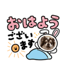 愛犬チワワのクンでーす。（個別スタンプ：4）