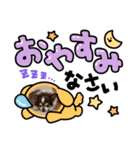 愛犬チワワのクンでーす。（個別スタンプ：5）