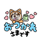 愛犬チワワのクンでーす。（個別スタンプ：6）