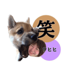 あずきくん③（個別スタンプ：15）