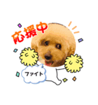 Wan Love  LIFE（個別スタンプ：4）