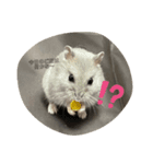 Koa君の日常（個別スタンプ：8）