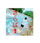 気ままに新 ほか盛りだくさん（個別スタンプ：6）