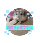 使える挨拶♥（個別スタンプ：8）