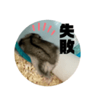 チロルの生活part2（個別スタンプ：7）