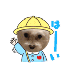 ずっと使えるいぬスタンプ（個別スタンプ：7）