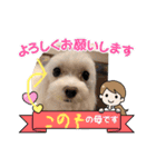 ずっと使えるいぬスタンプ（個別スタンプ：13）