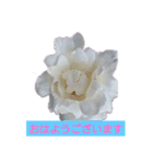 薔薇色の1日（個別スタンプ：1）