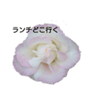 薔薇色の1日（個別スタンプ：9）