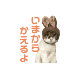 hana03marin15（個別スタンプ：2）