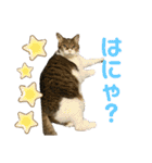 hana03marin15（個別スタンプ：4）