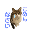 hana03marin15（個別スタンプ：5）