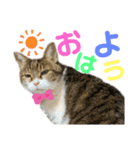 hana03marin15（個別スタンプ：7）