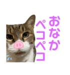 hana03marin15（個別スタンプ：15）