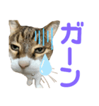 hana03marin15（個別スタンプ：16）