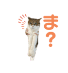 hana03marin15（個別スタンプ：19）
