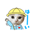 まりん＆りゅうた（個別スタンプ：1）
