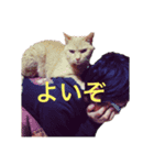 よいやーつ（個別スタンプ：6）