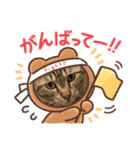 ちゃたさん（個別スタンプ：2）