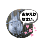 うさぎのココアくん。（個別スタンプ：8）