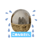 うさぎのココアくん。（個別スタンプ：10）