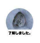 うさぎのココアくん。（個別スタンプ：14）