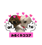 うさぎのココアくん。（個別スタンプ：18）