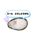 うさぎのココアくん。（個別スタンプ：22）