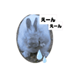 うさぎのココアくん。（個別スタンプ：26）