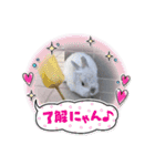うさぎのココアくん。（個別スタンプ：32）