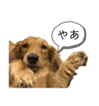 ーななちゃんスタンプー（個別スタンプ：22）