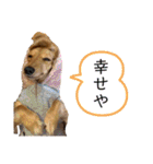 ーななちゃんスタンプー（個別スタンプ：23）