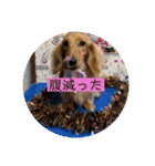 ーななちゃんスタンプー（個別スタンプ：28）