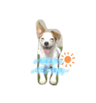 ピノたんの気持ち2（個別スタンプ：2）