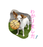 ピノたんの気持ち2（個別スタンプ：6）