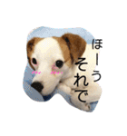ピノたんの気持ち2（個別スタンプ：15）