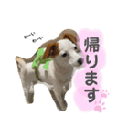 ピノたんの気持ち2（個別スタンプ：25）