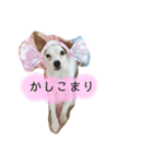 ピノたんの気持ち2（個別スタンプ：26）