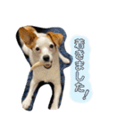ピノたんの気持ち2（個別スタンプ：27）