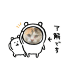 ぱしゃちゃんスタンプ1（個別スタンプ：13）