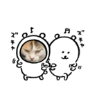 ぱしゃちゃんスタンプ1（個別スタンプ：15）