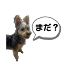 つなしか勝たん（個別スタンプ：3）