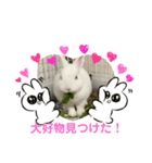 ましろおもち産直スタンプ（個別スタンプ：5）
