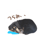 茶色い犬のスタンプ（個別スタンプ：14）