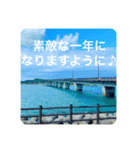 OKINAWAの景色と花・誕生日（個別スタンプ：5）