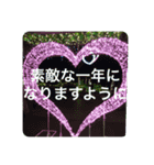 OKINAWAの景色と花・誕生日（個別スタンプ：6）
